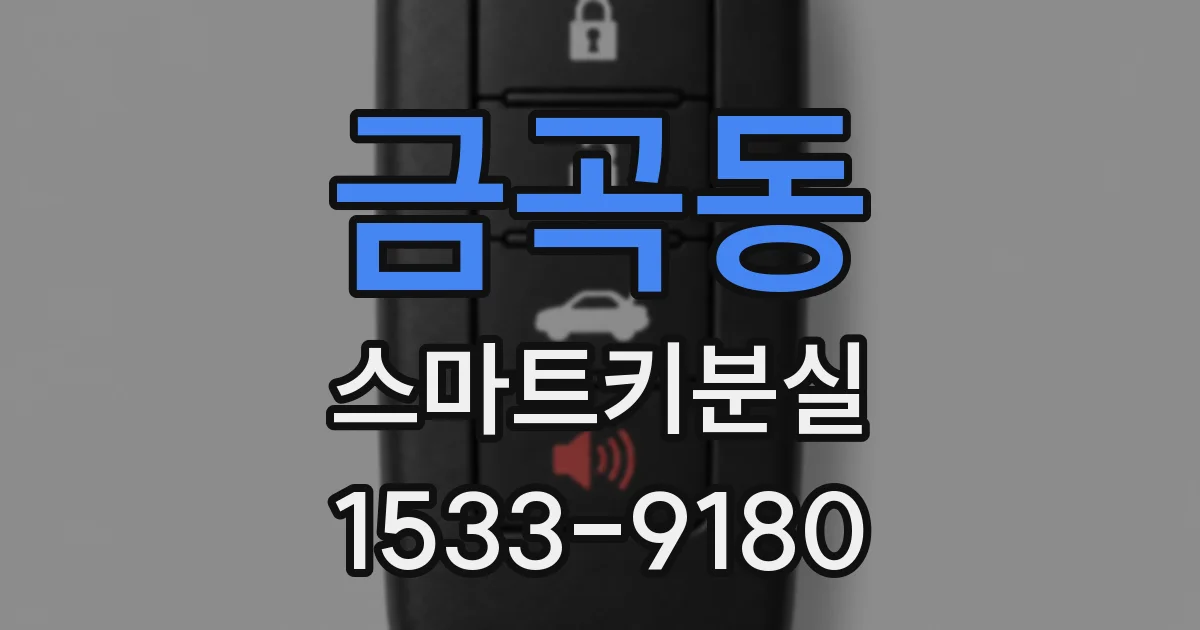 금곡동 스마트키분실
