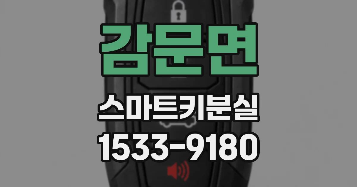 감문면 스마트키분실