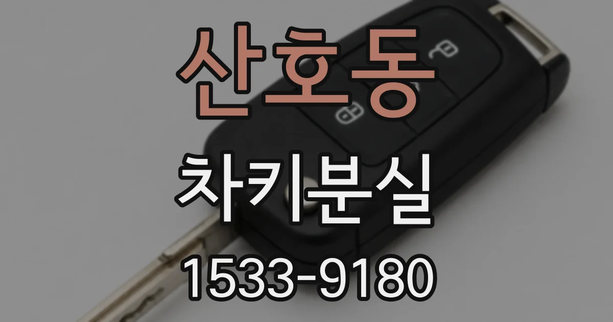 산호동 차키분실