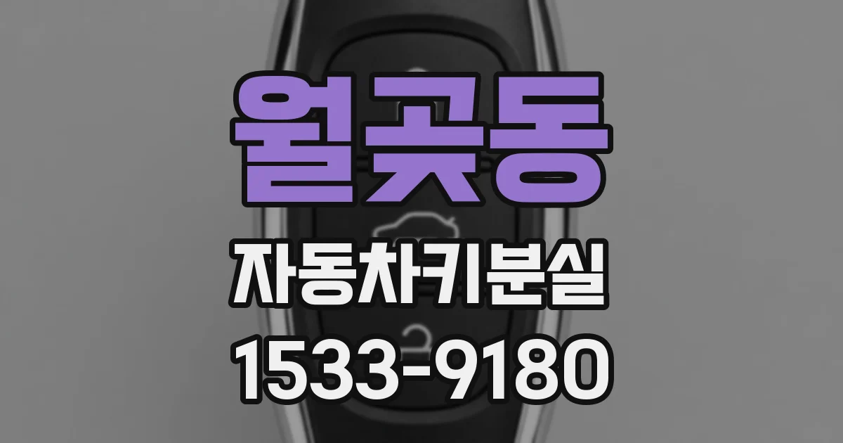 월곶동 자동차키분실