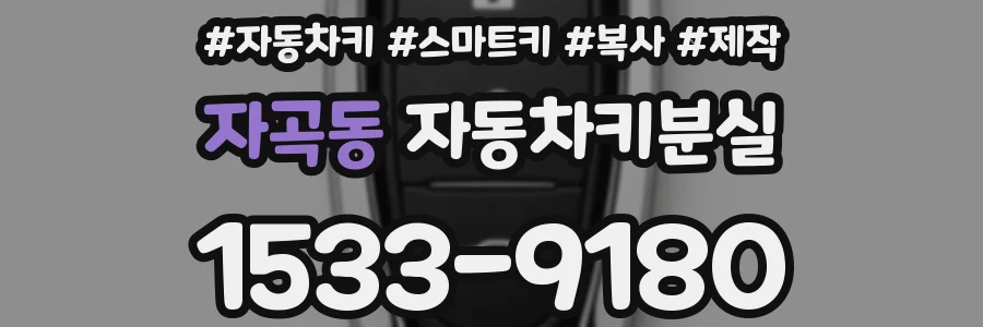 자곡동 자동차키분실