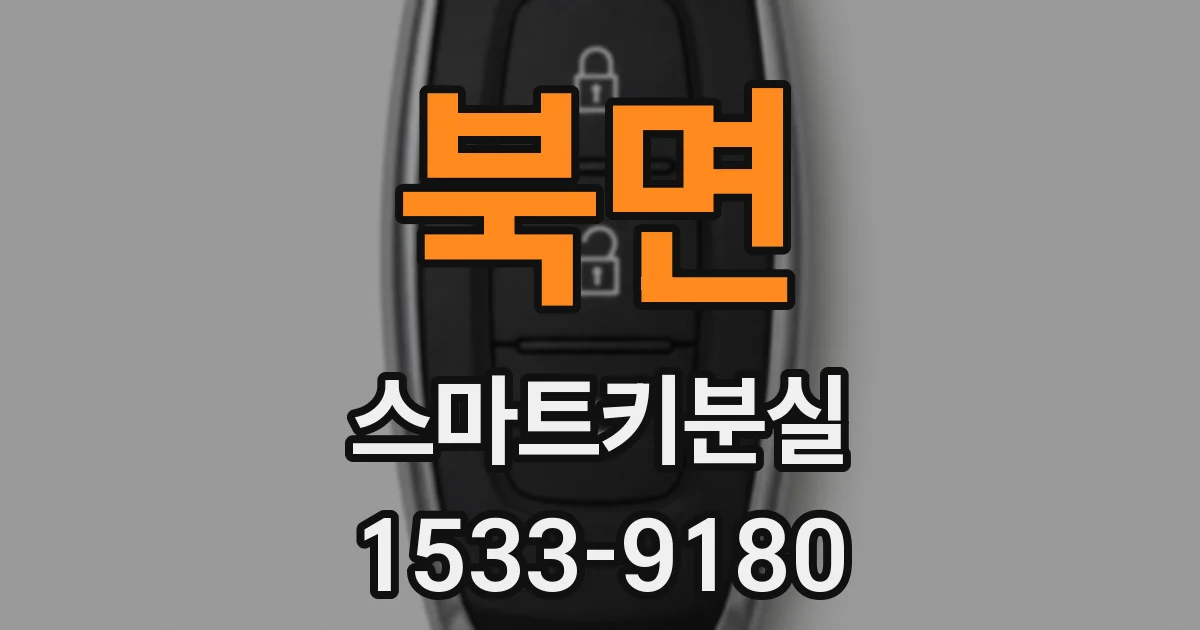 북면 스마트키분실