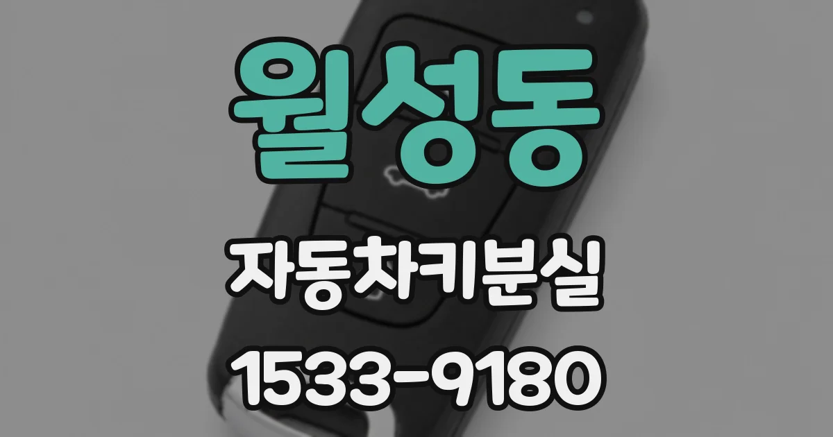 월성동 자동차키분실