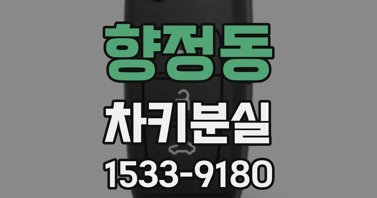 향정동 차키분실