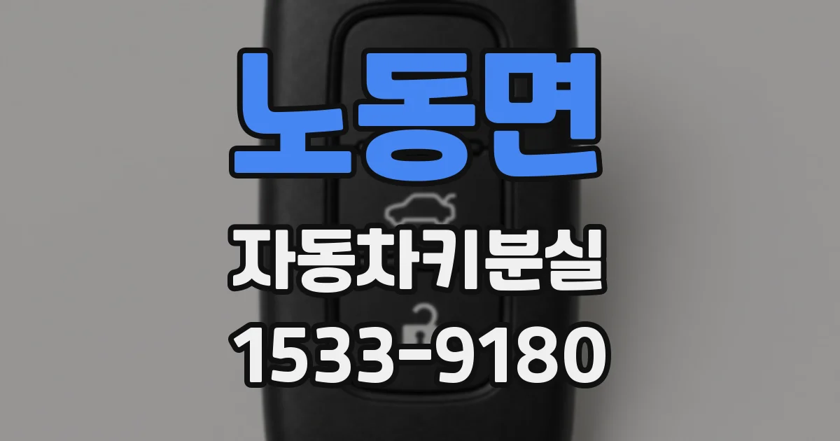 노동면 자동차키분실