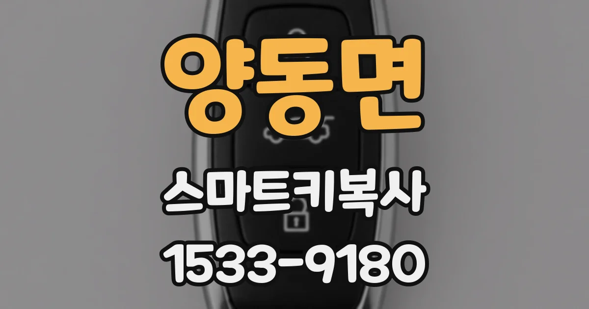 양동면 스마트키복사