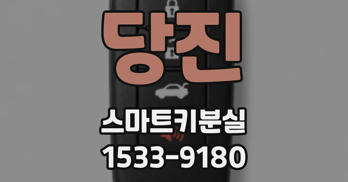 당진 스마트키분실