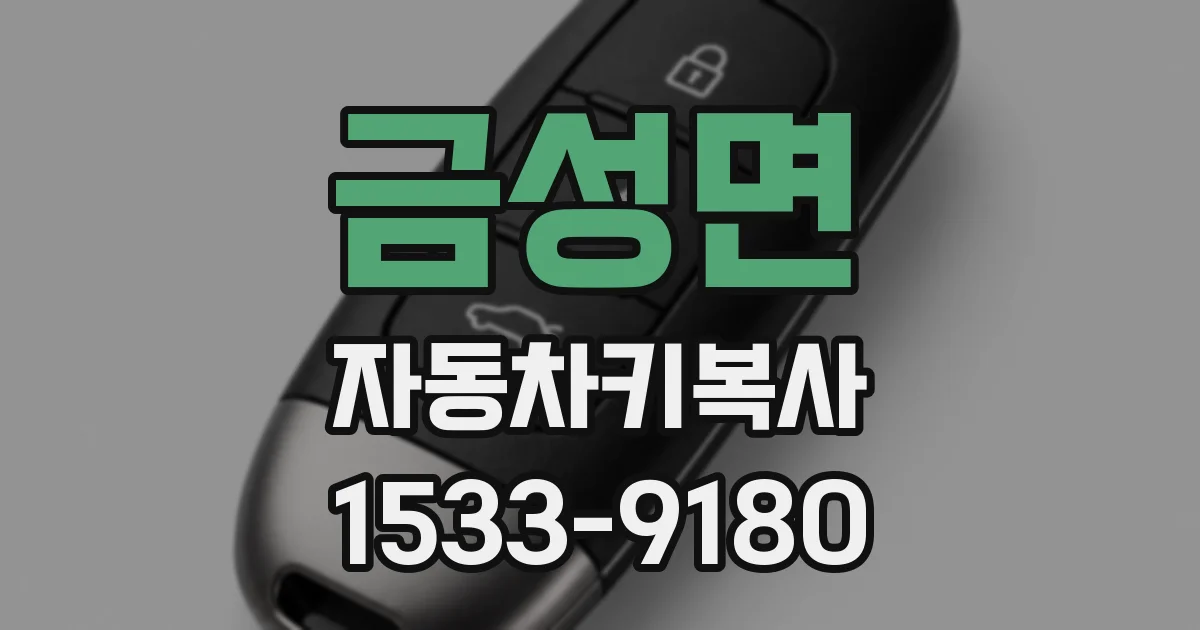 금성면 자동차키복사