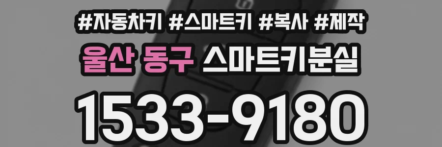 울산 동구 스마트키분실