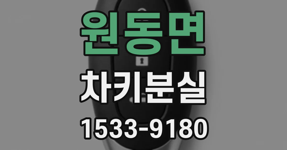 원동면 차키분실