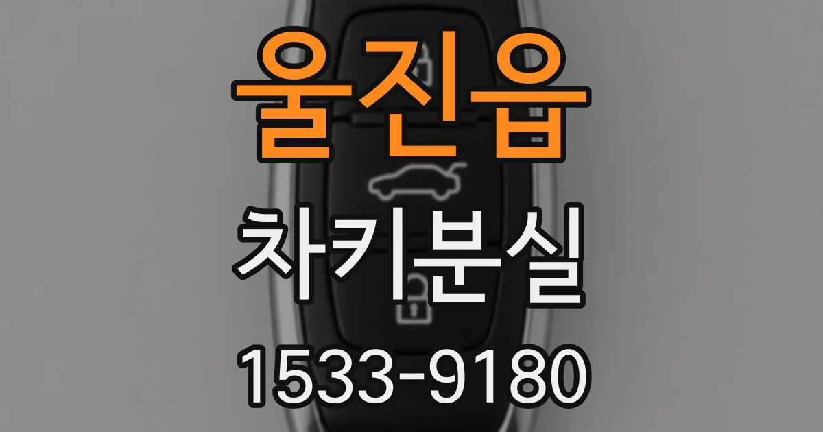 울진읍 차키분실