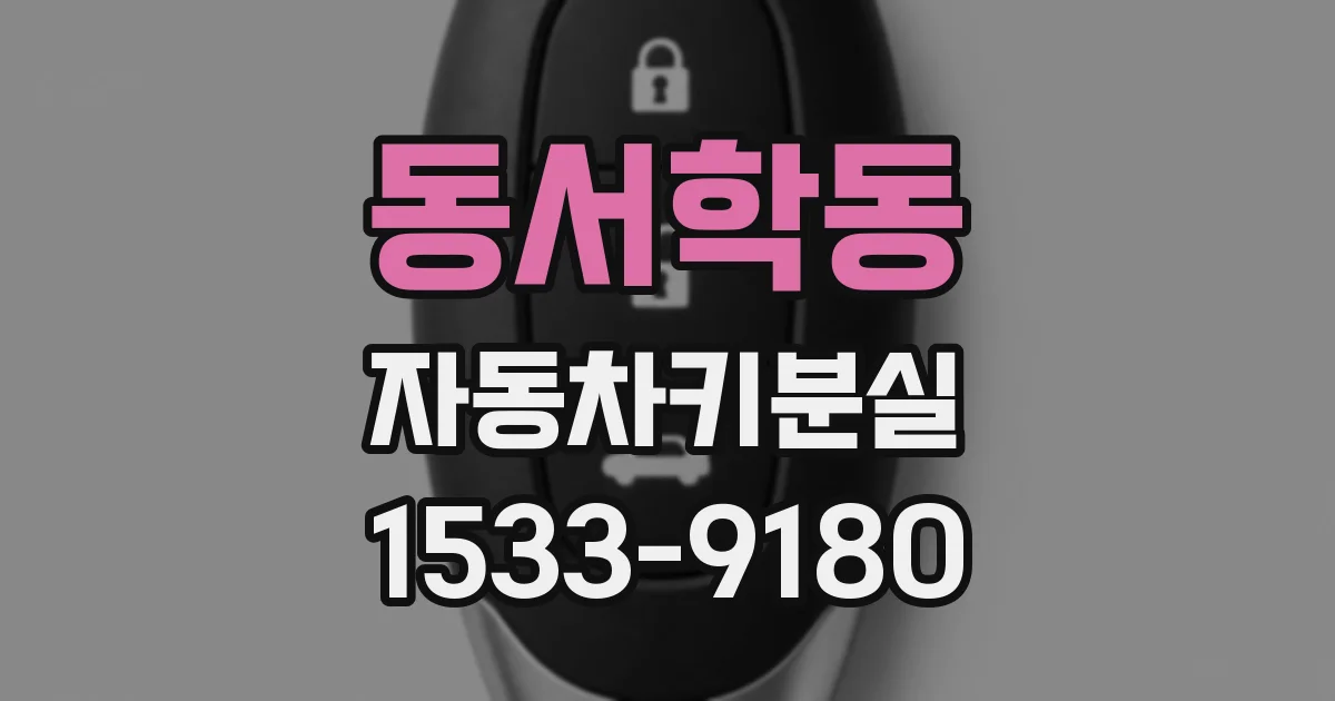 동서학동 자동차키분실