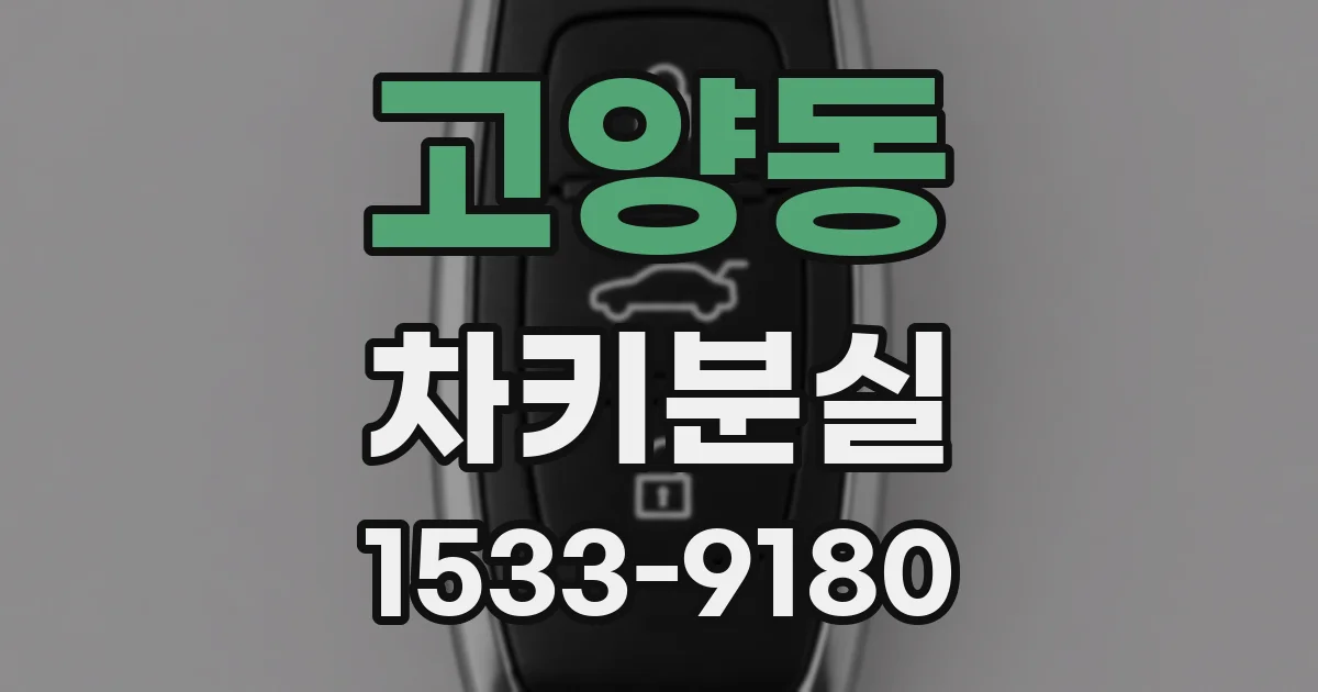 고양동 차키분실