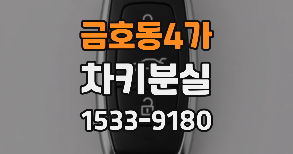 금호동4가 차키분실