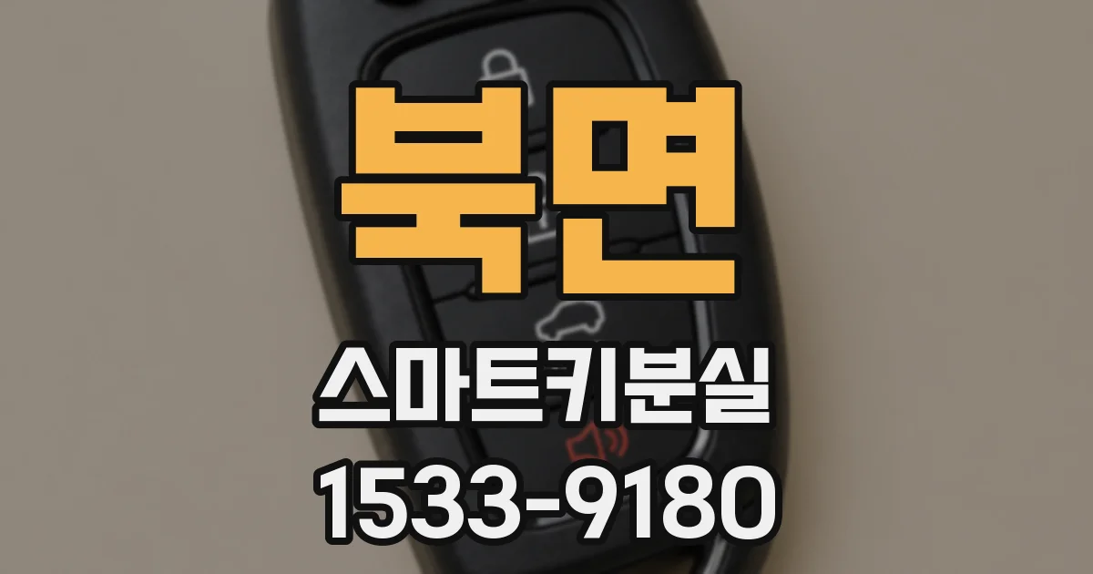 북면 스마트키분실