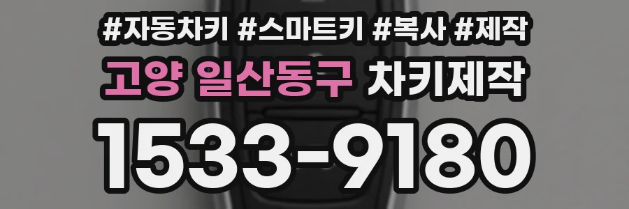 고양 일산동구 차키제작