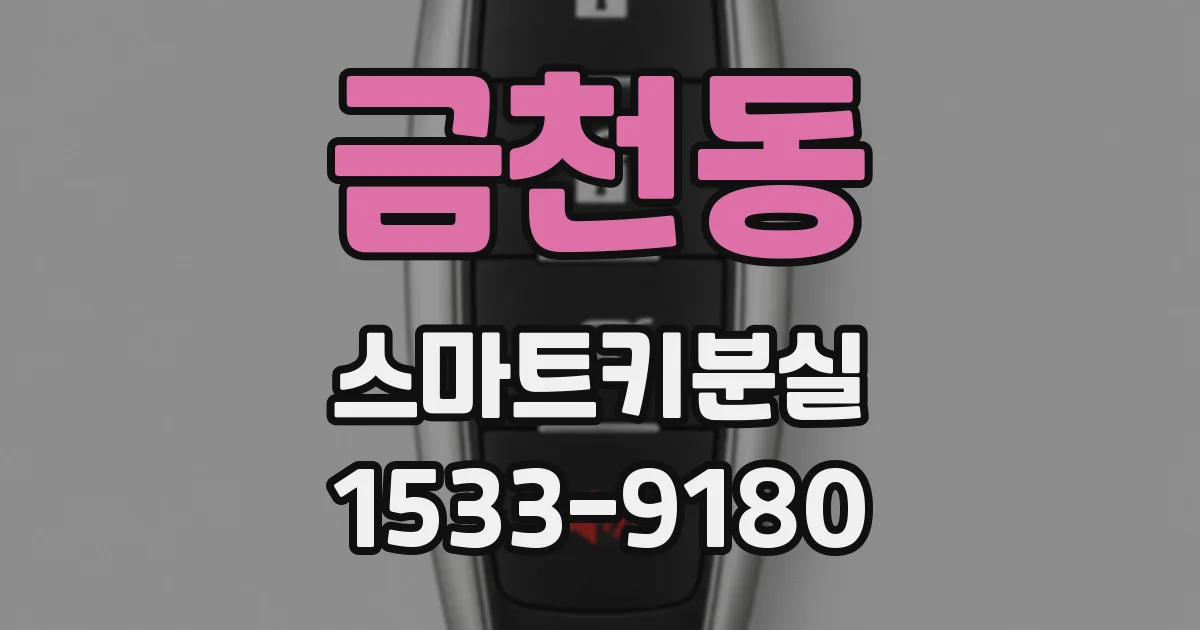 금천동 스마트키분실
