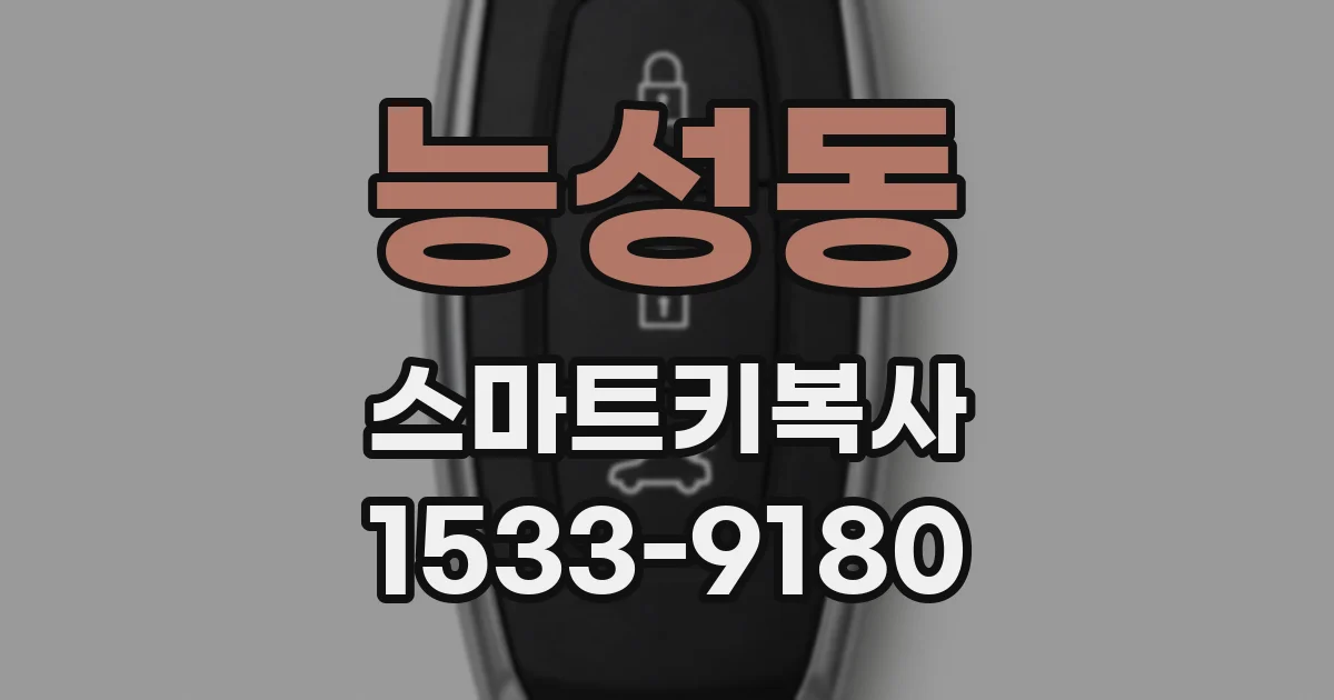 능성동 스마트키복사