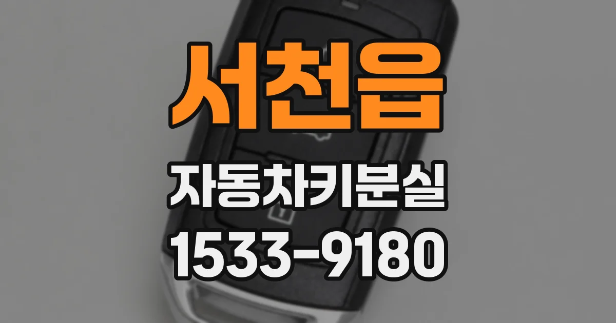 서천읍 자동차키분실