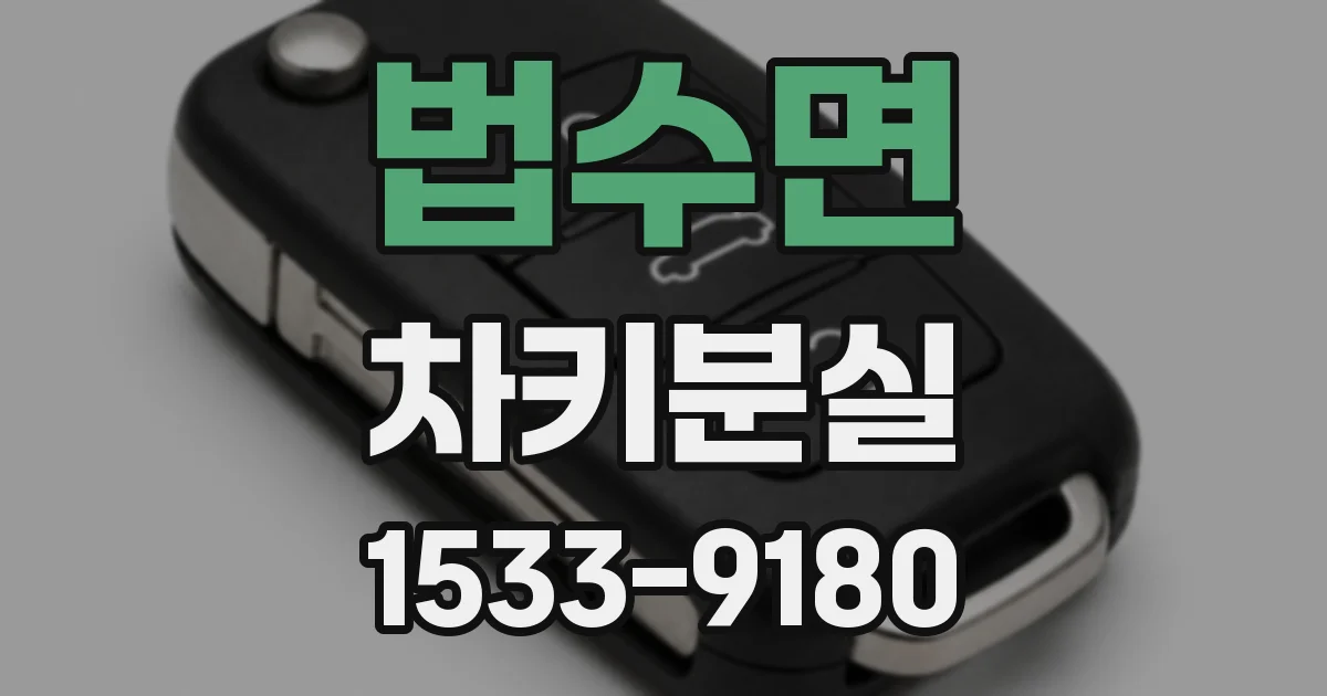 법수면 차키분실