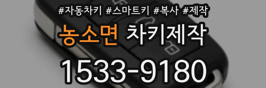농소면 차키제작