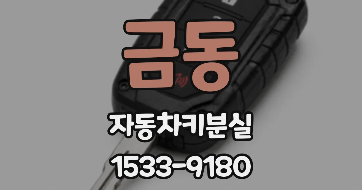 금동 자동차키분실