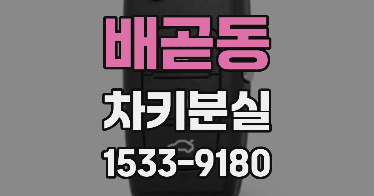 배곧동 차키분실