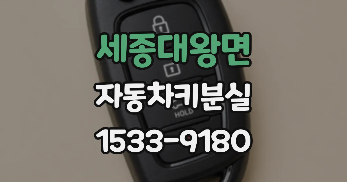 세종대왕면 자동차키분실