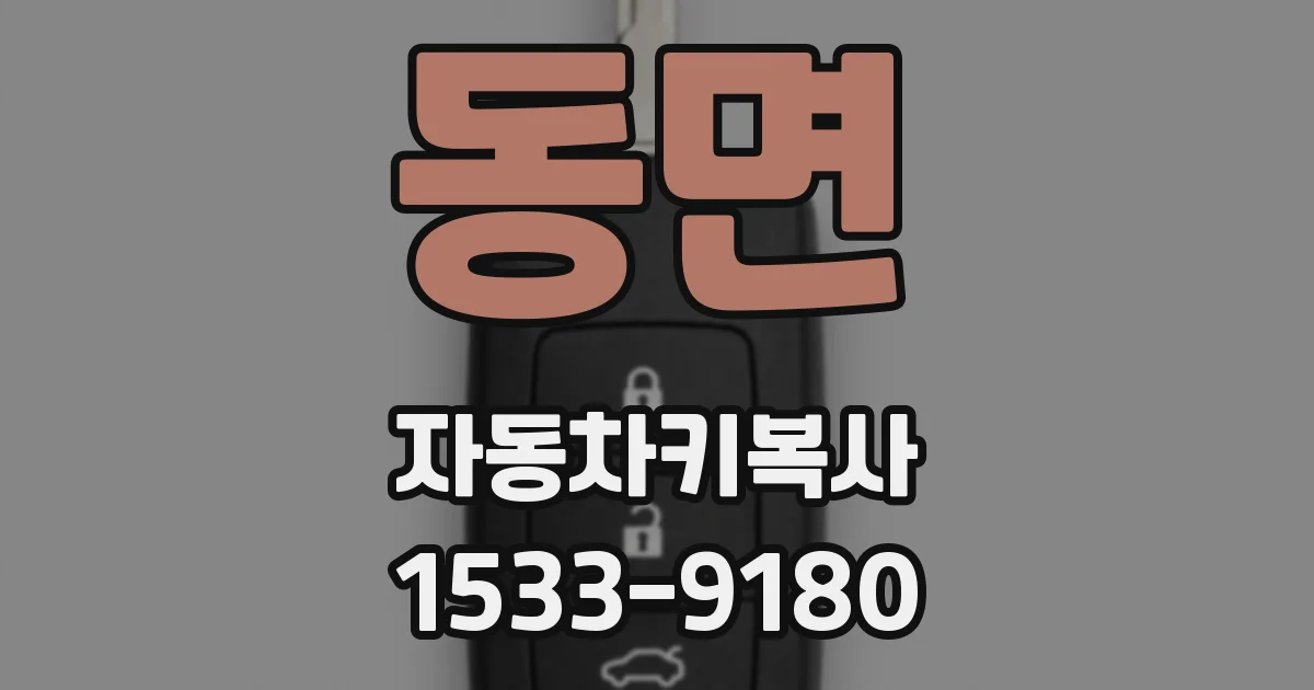 동면 자동차키복사