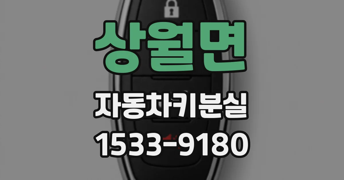 상월면 자동차키분실