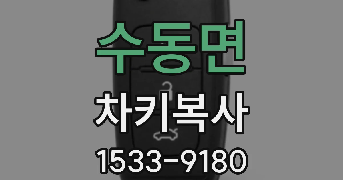 수동면 차키복사