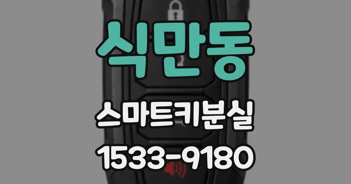 식만동 스마트키분실