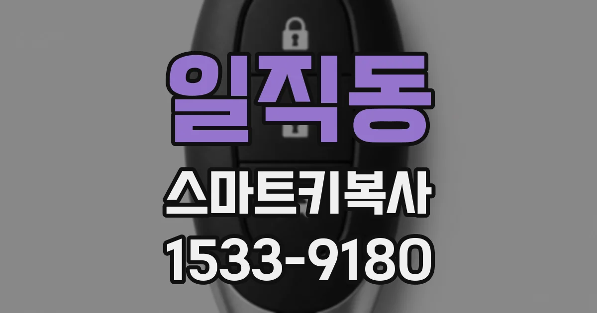 일직동 스마트키복사