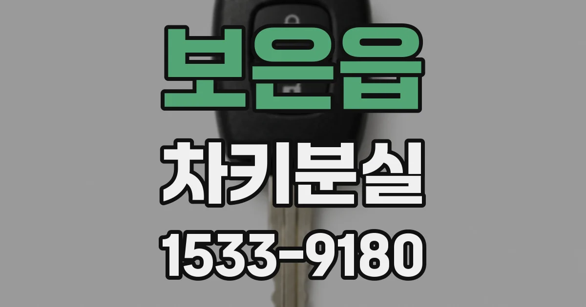 보은읍 차키분실