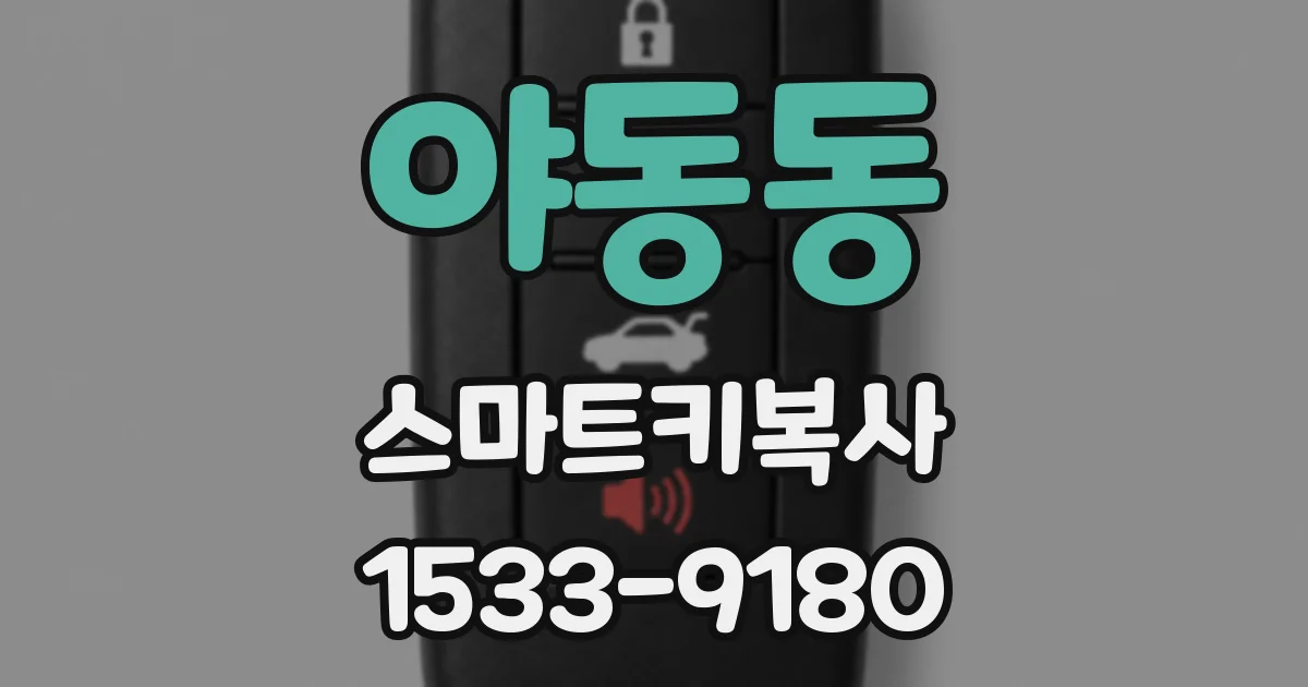 야동동 스마트키복사
