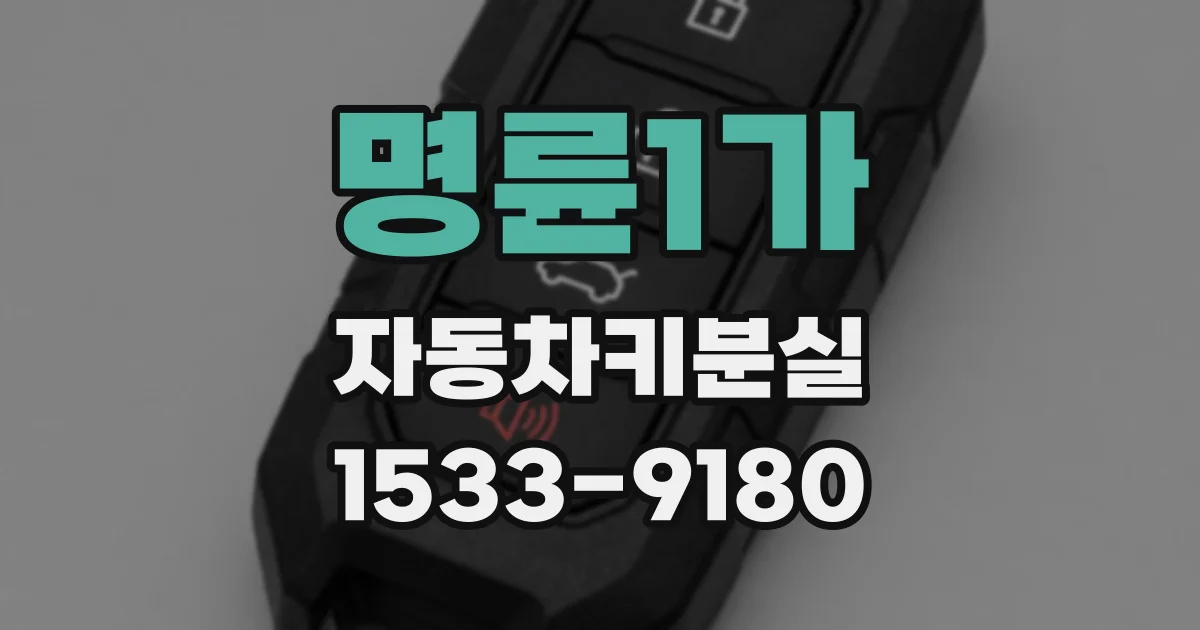 명륜1가 자동차키분실
