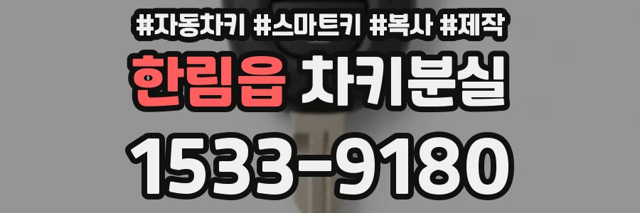 한림읍 차키분실