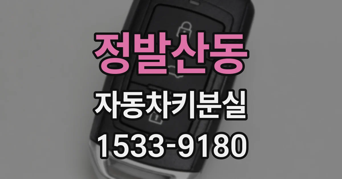 정발산동 자동차키분실