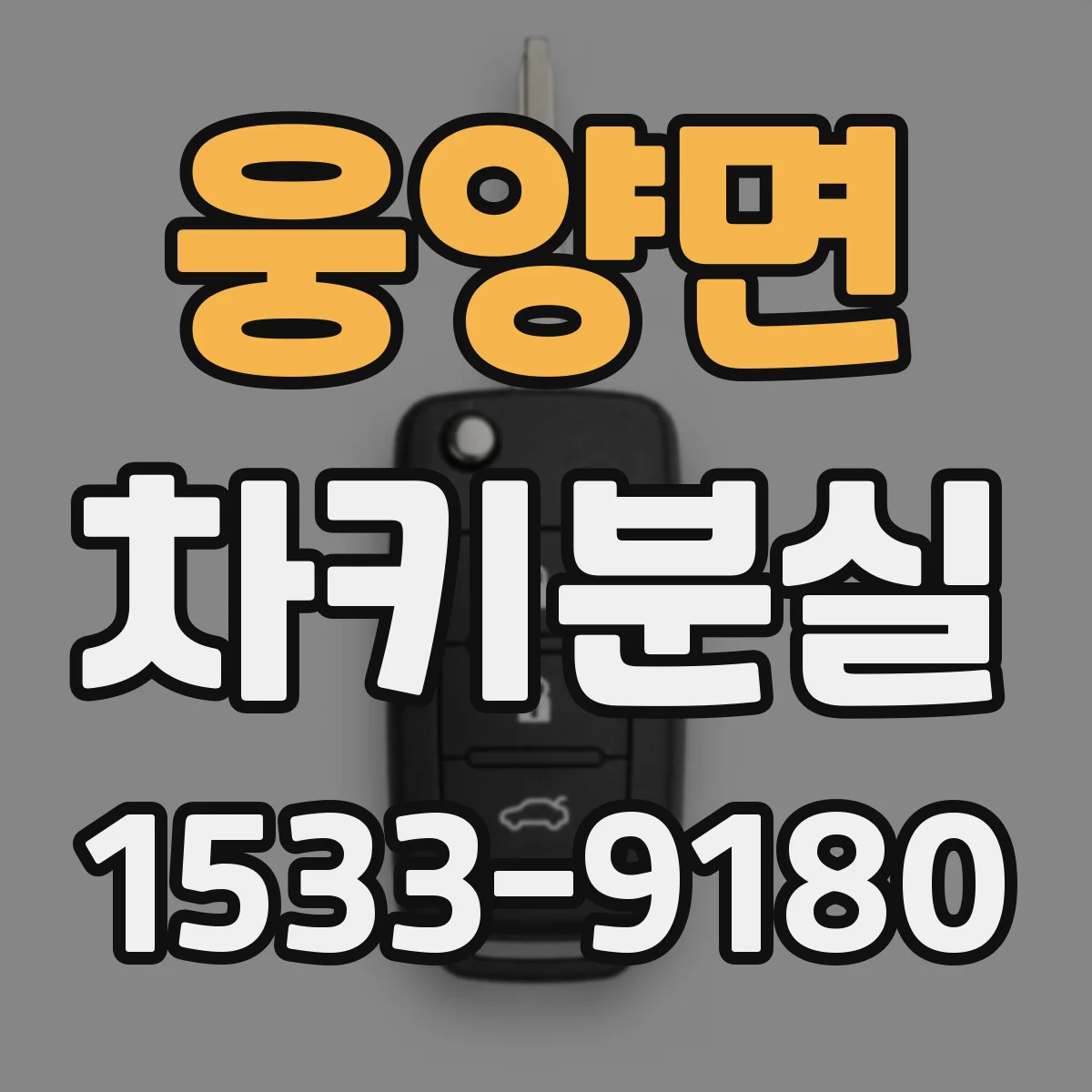 웅양면 차키분실