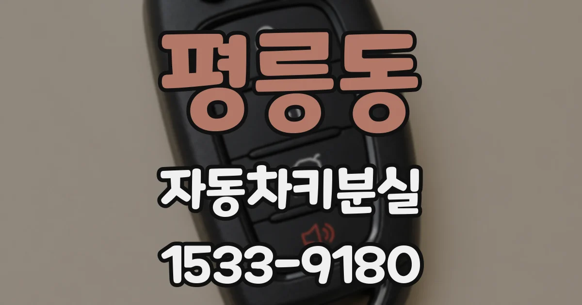평릉동 자동차키분실