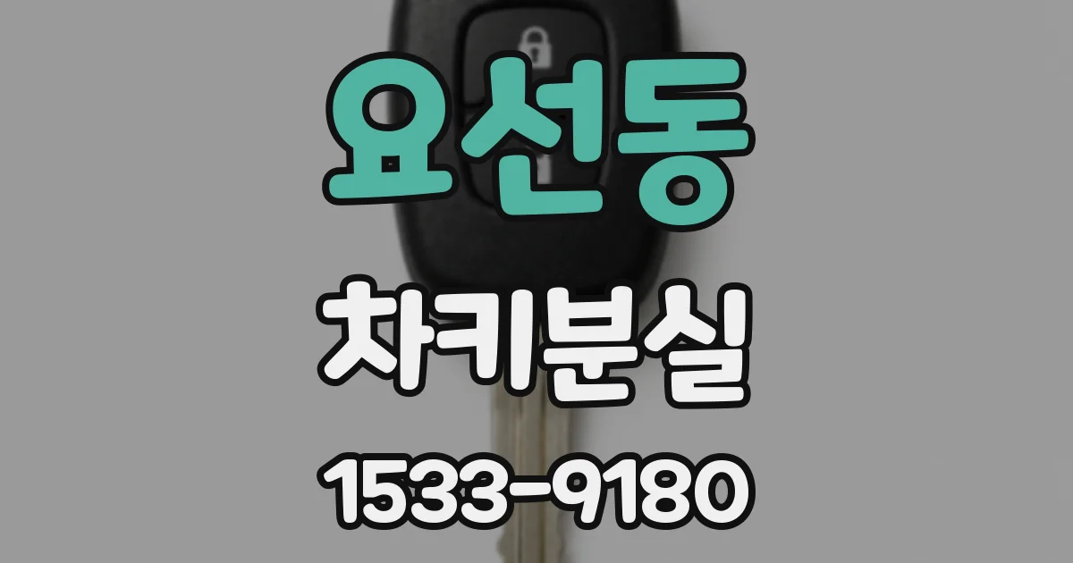 요선동 차키분실