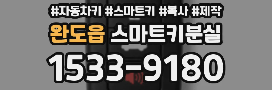 완도읍 스마트키분실