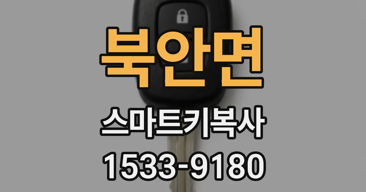 북안면 스마트키복사