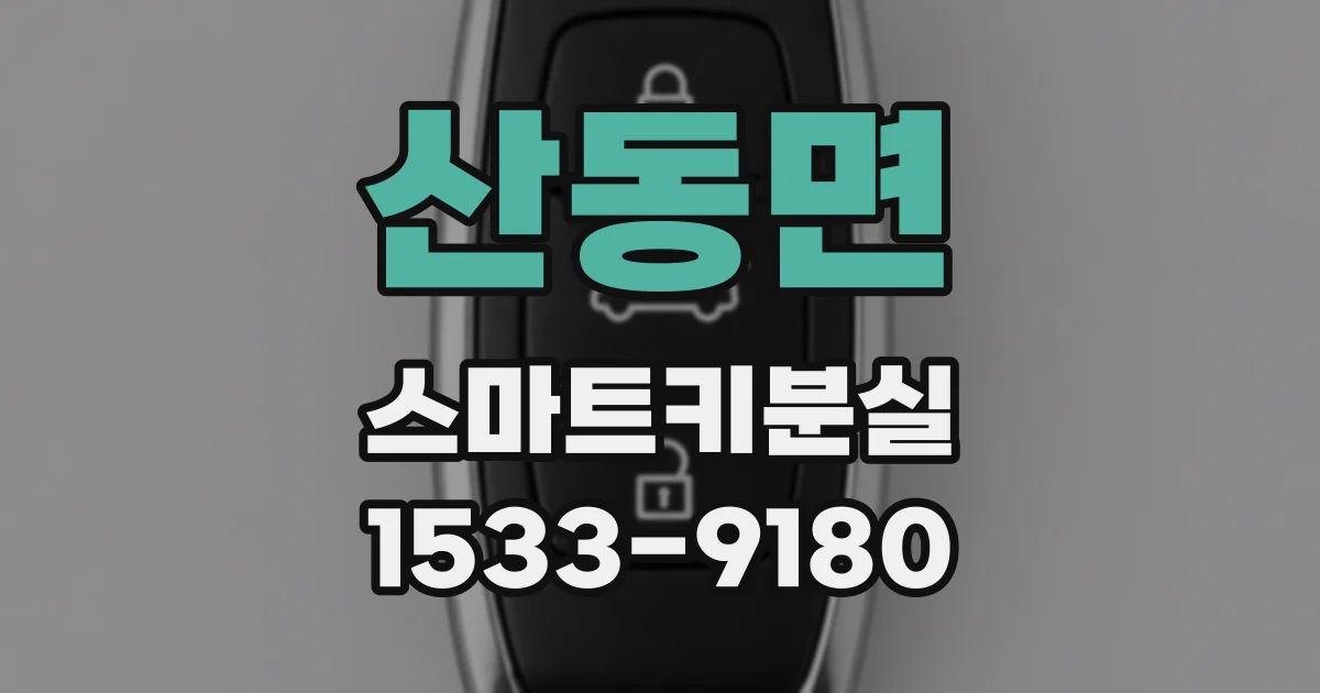 산동면 스마트키분실