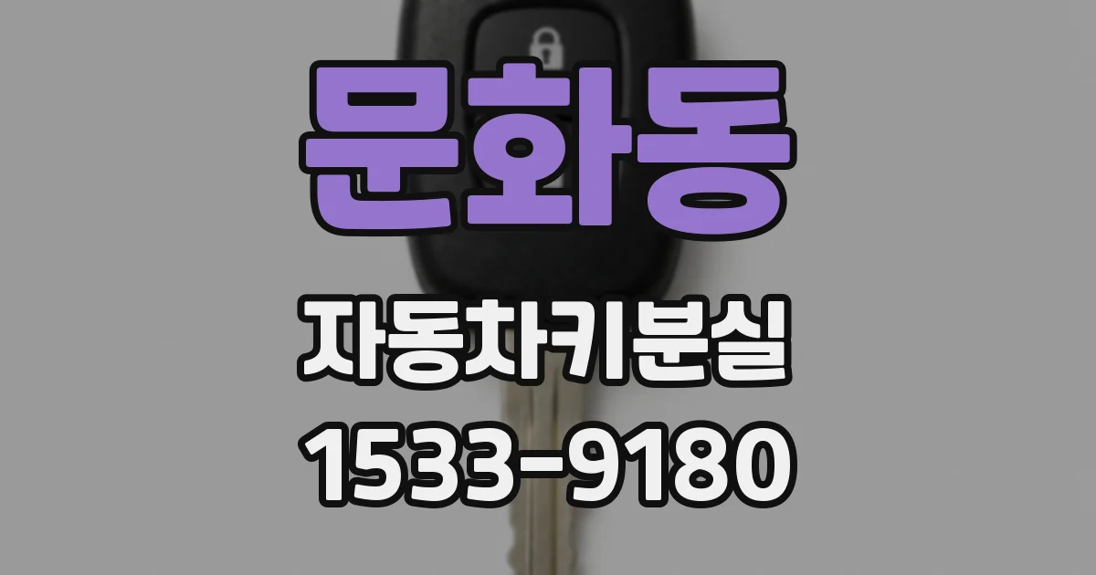 문화동 자동차키분실