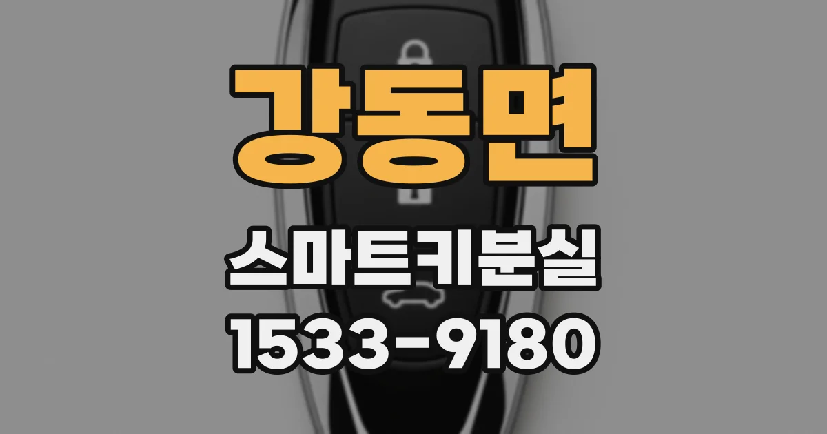 강동면 스마트키분실