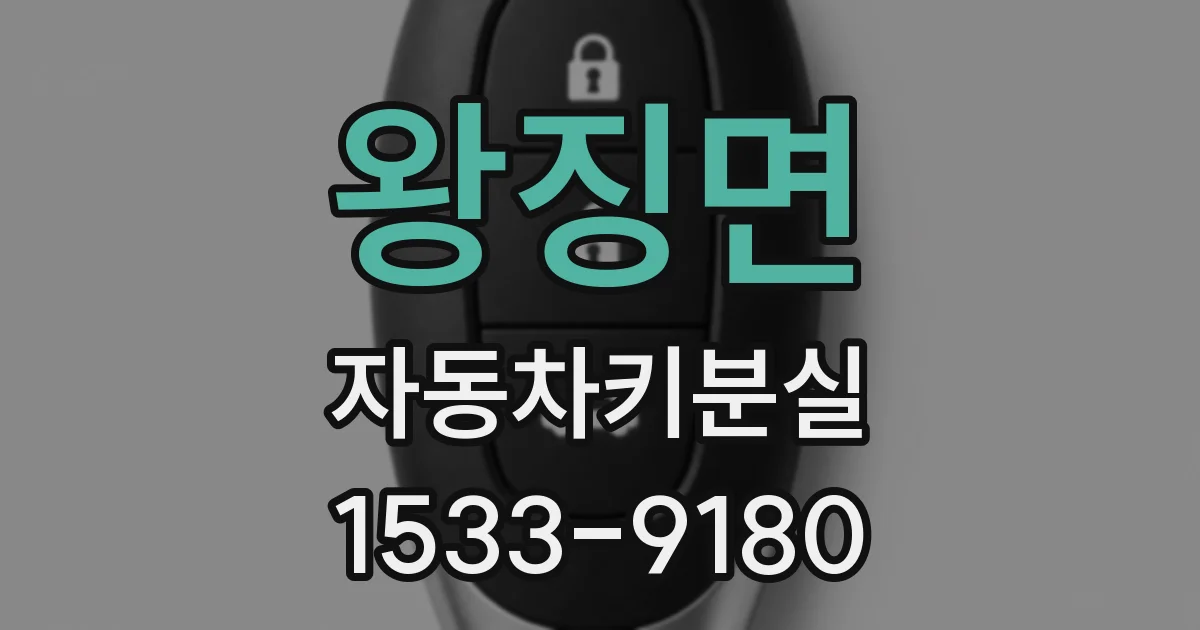 왕징면 자동차키분실
