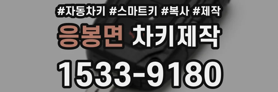 응봉면 차키제작