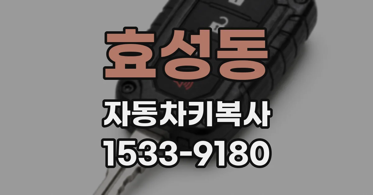효성동 자동차키복사
