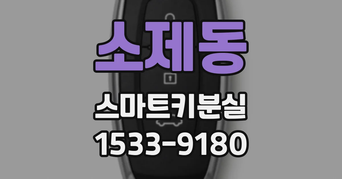 소제동 스마트키분실